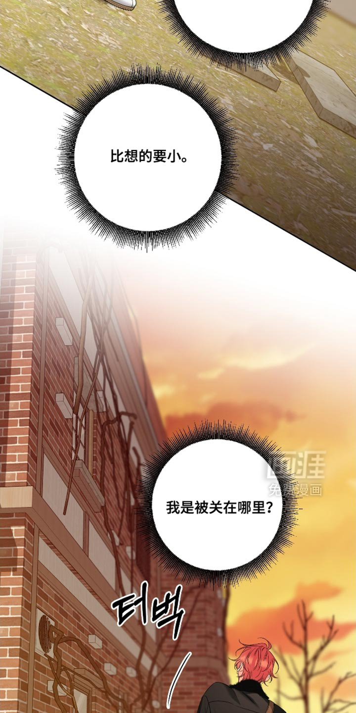 第100话2