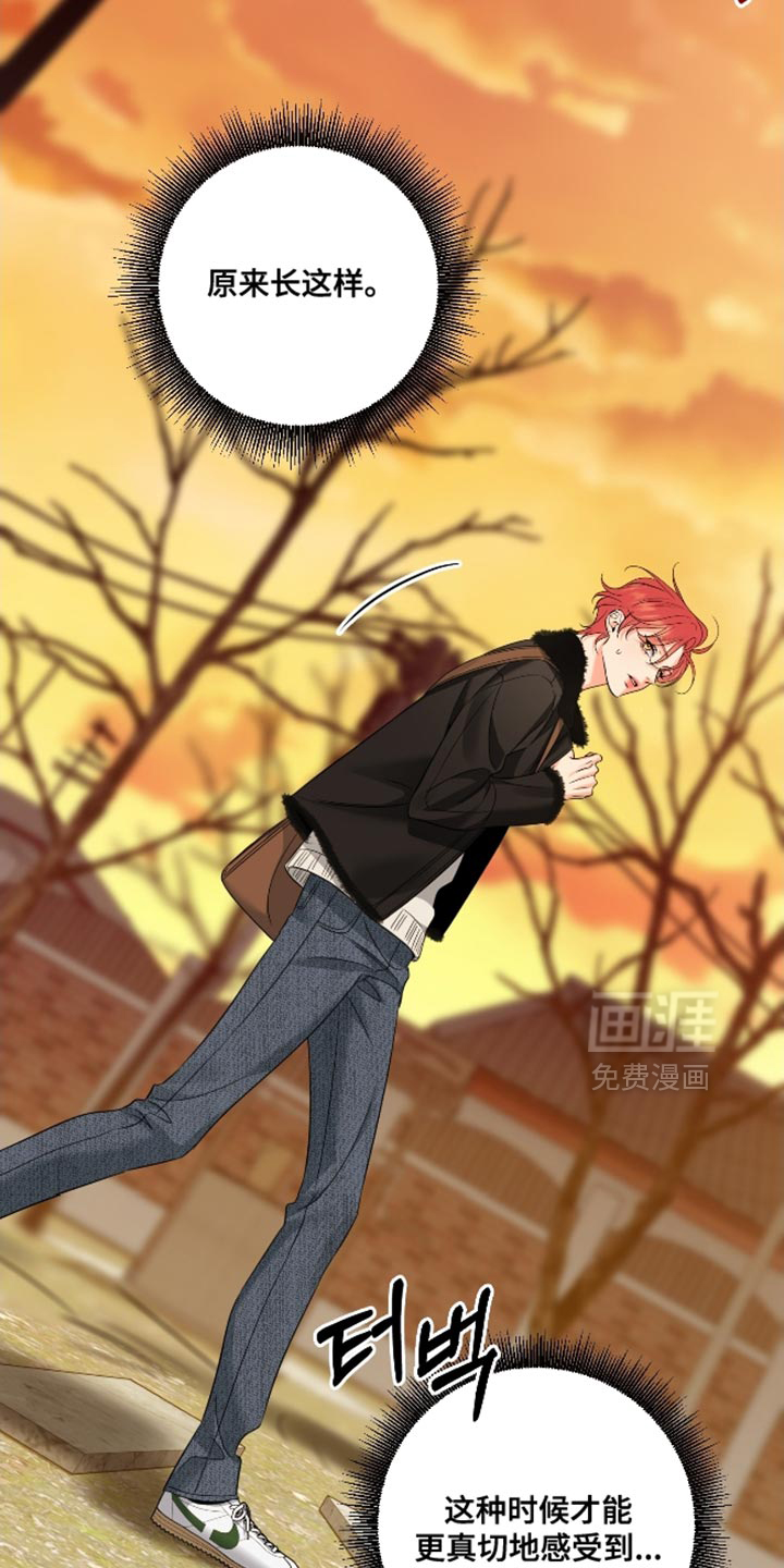 第100话1