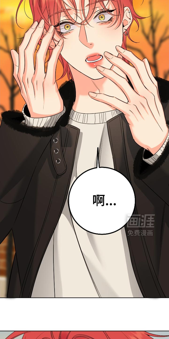 第100话17