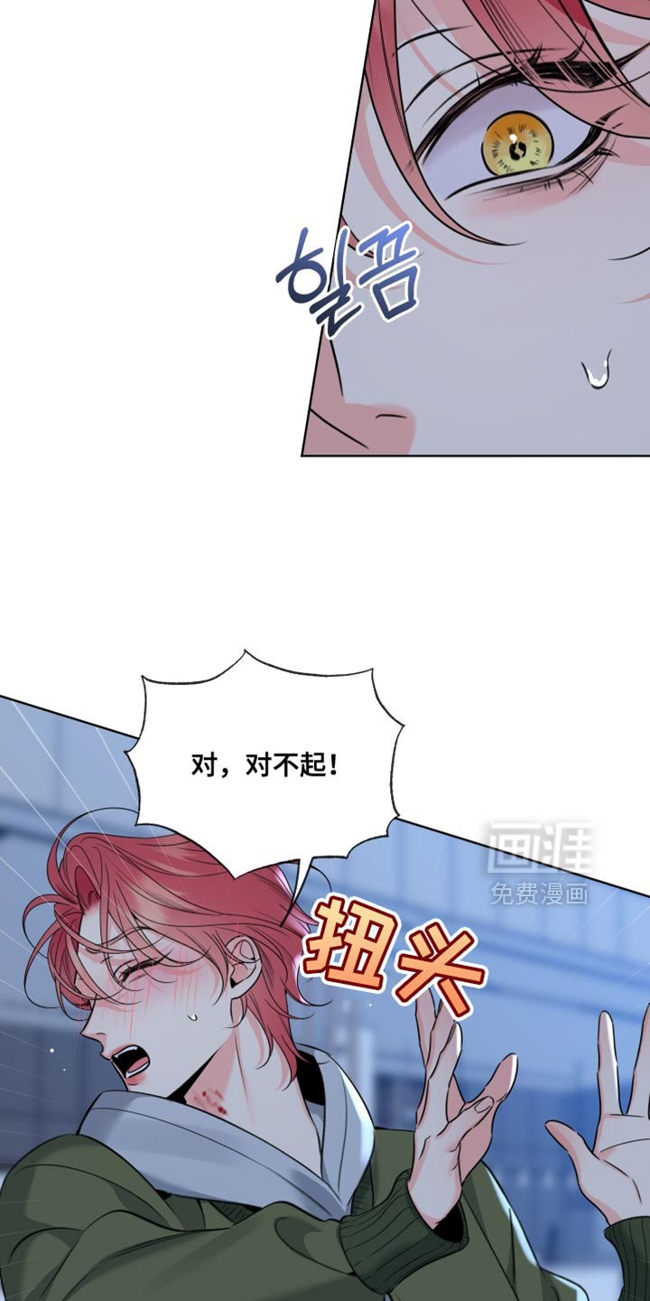 第81话1
