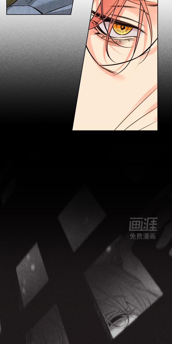 第79话16