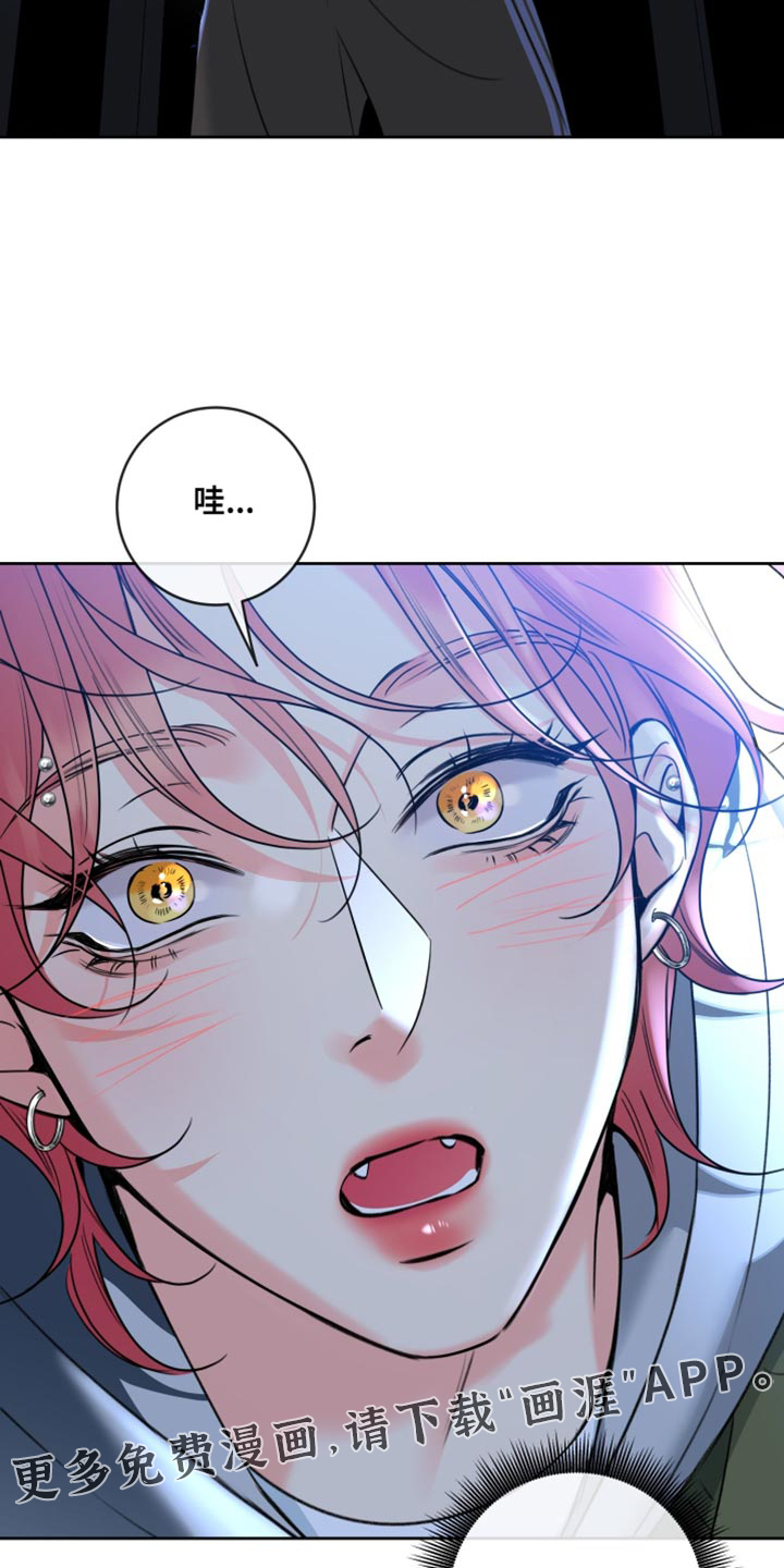 第75话15