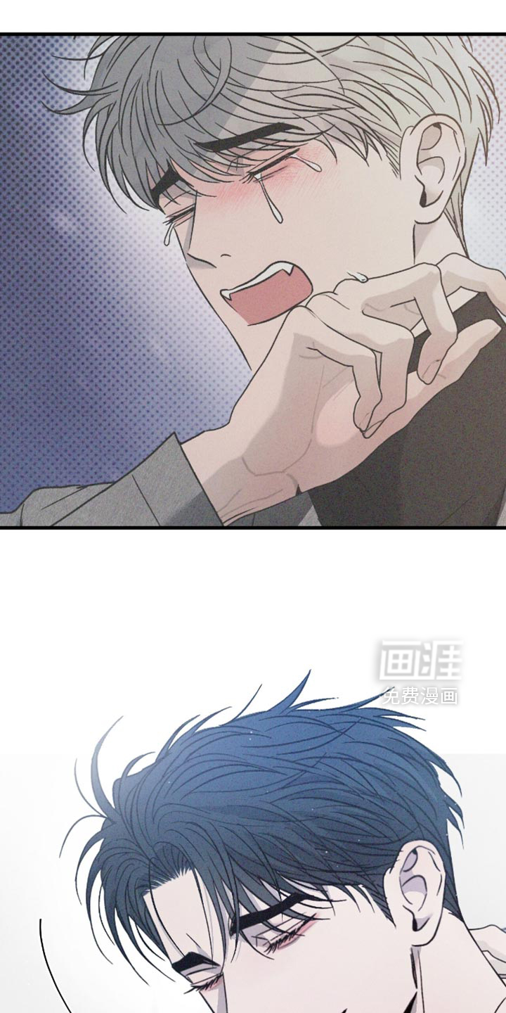 第164话16