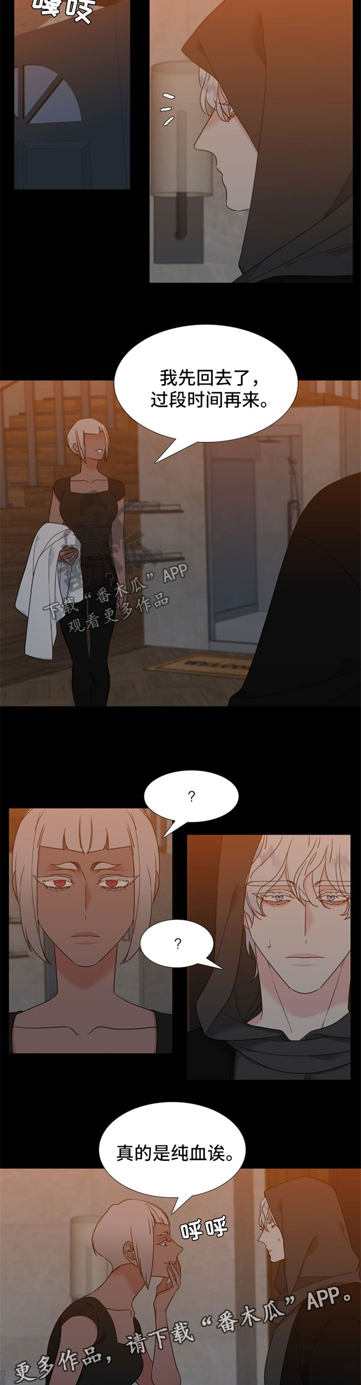 第223话2