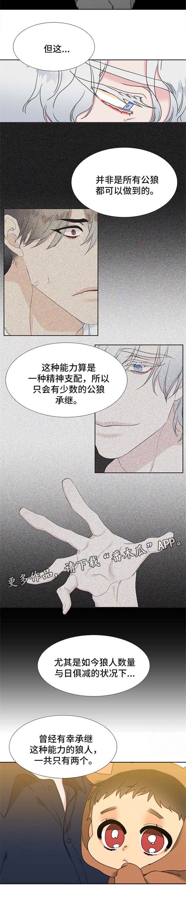 第217话3
