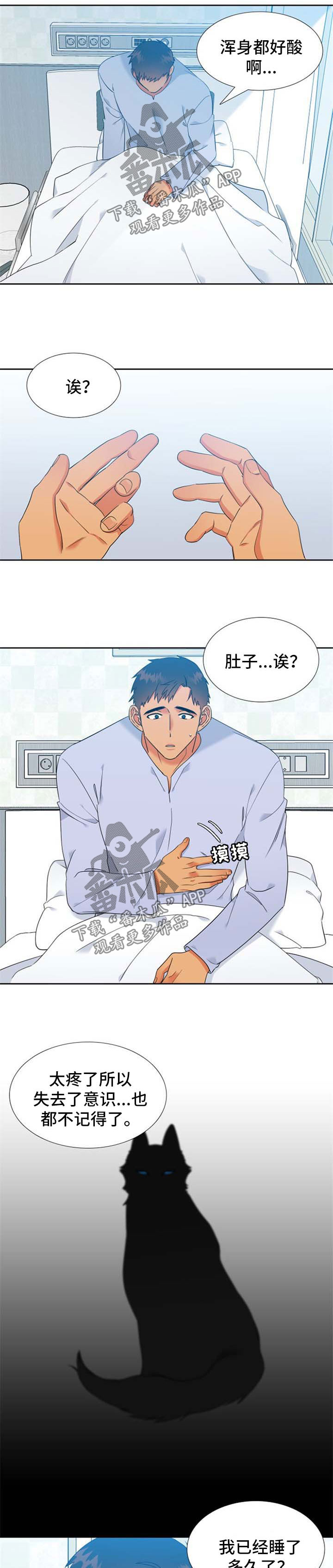 第205话1