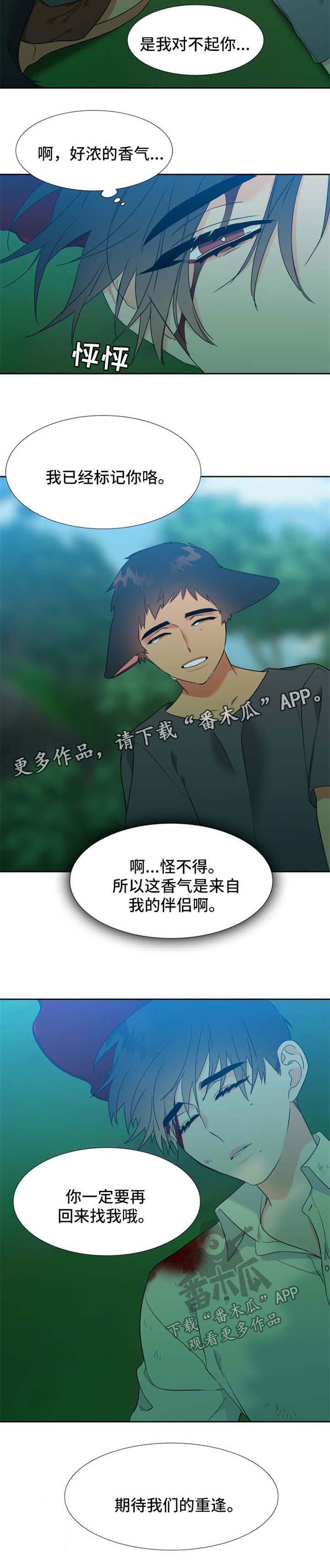第203话6