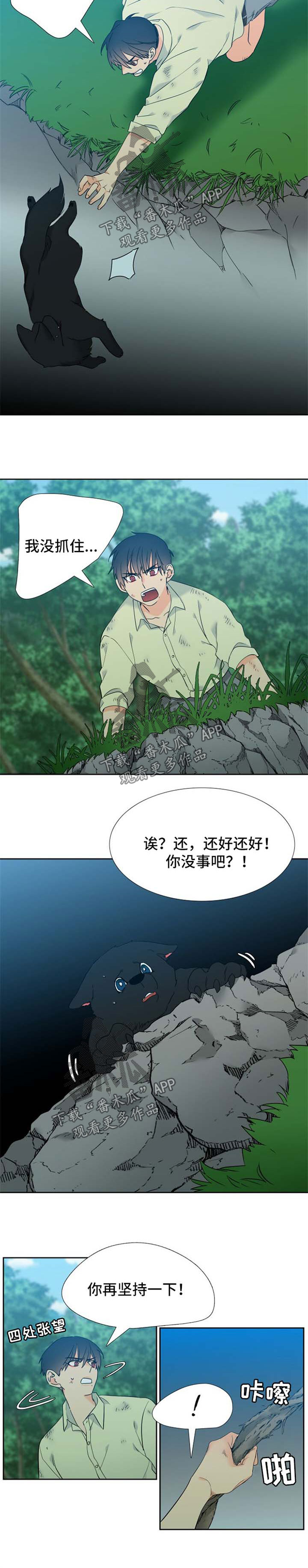 第203话1