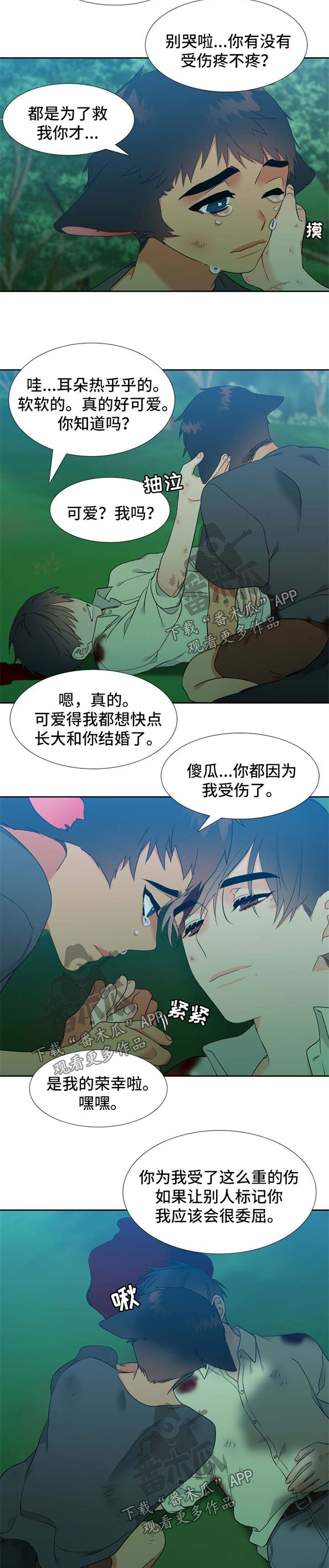 第203话5