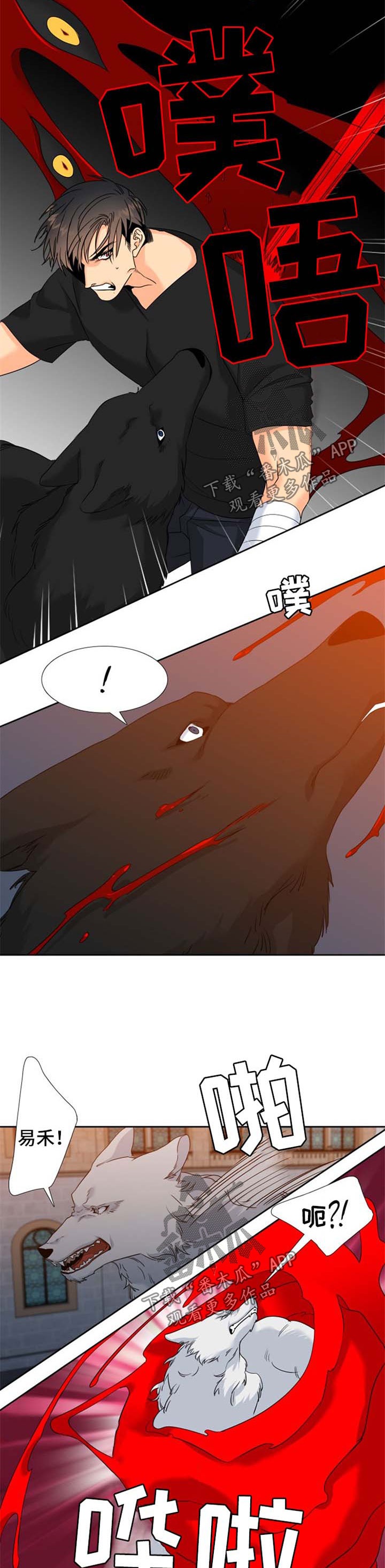 第185话1