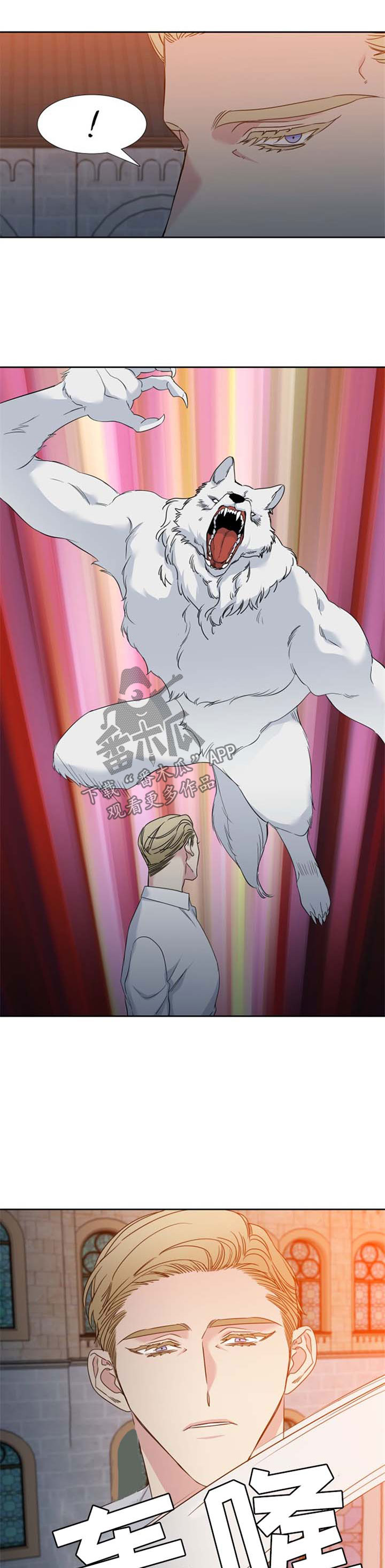 第184话6