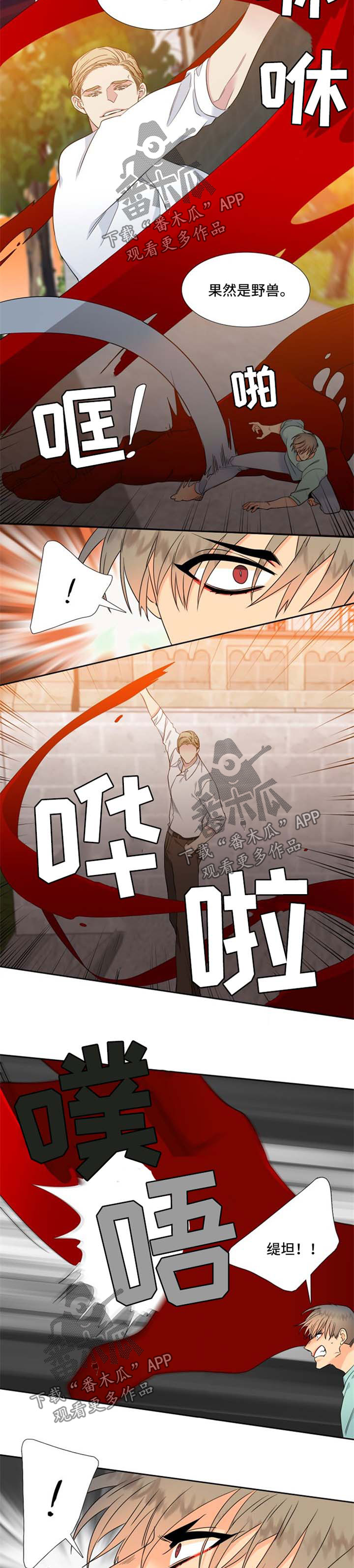 第183话5