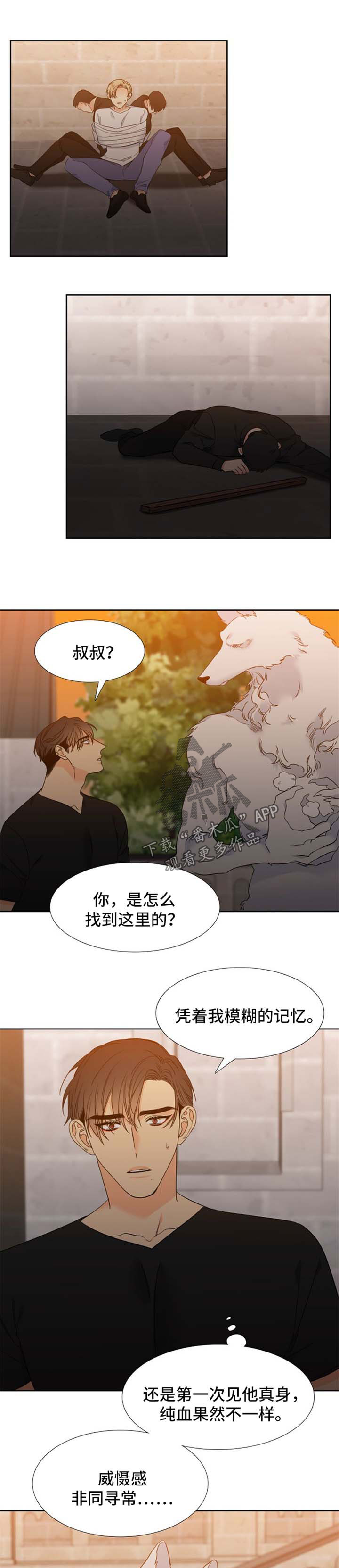 第182话0