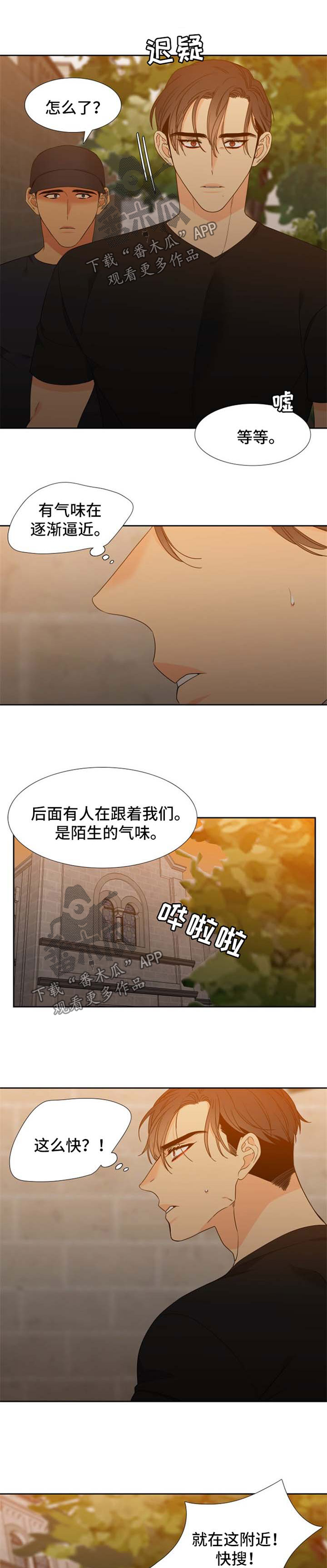 第180话5
