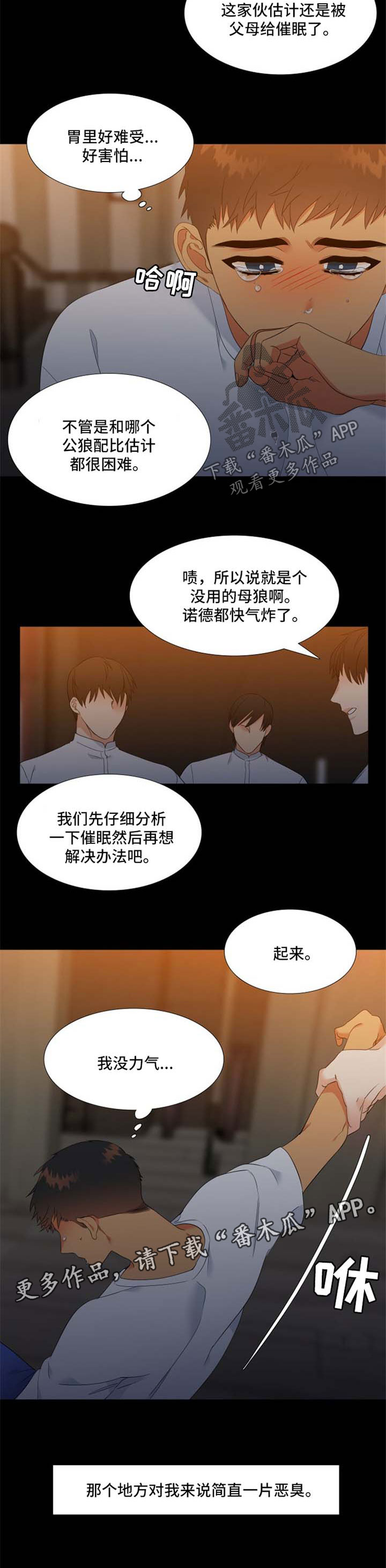 第170话5