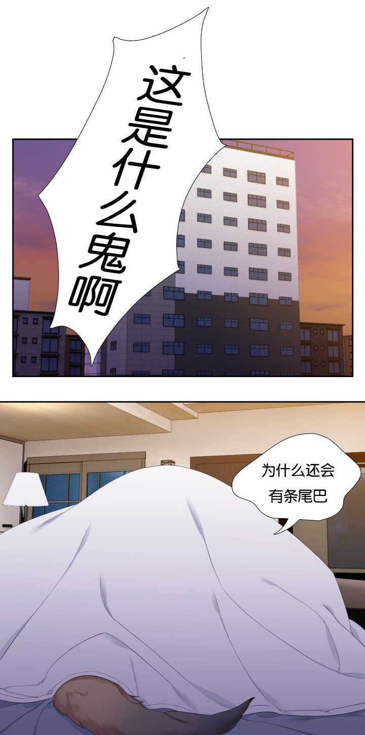 第31话3
