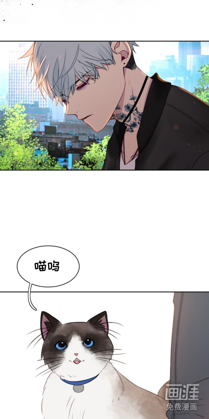 第9话17