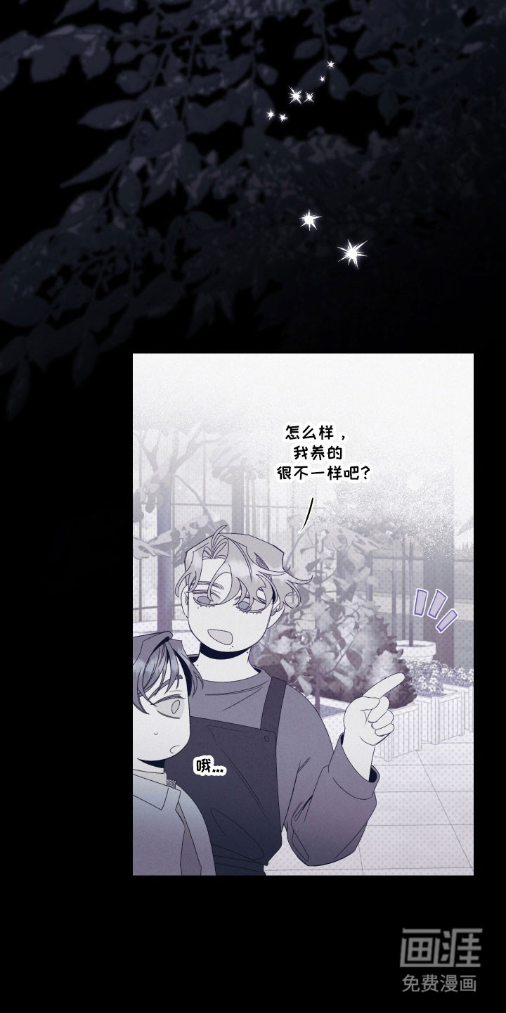 第104话9