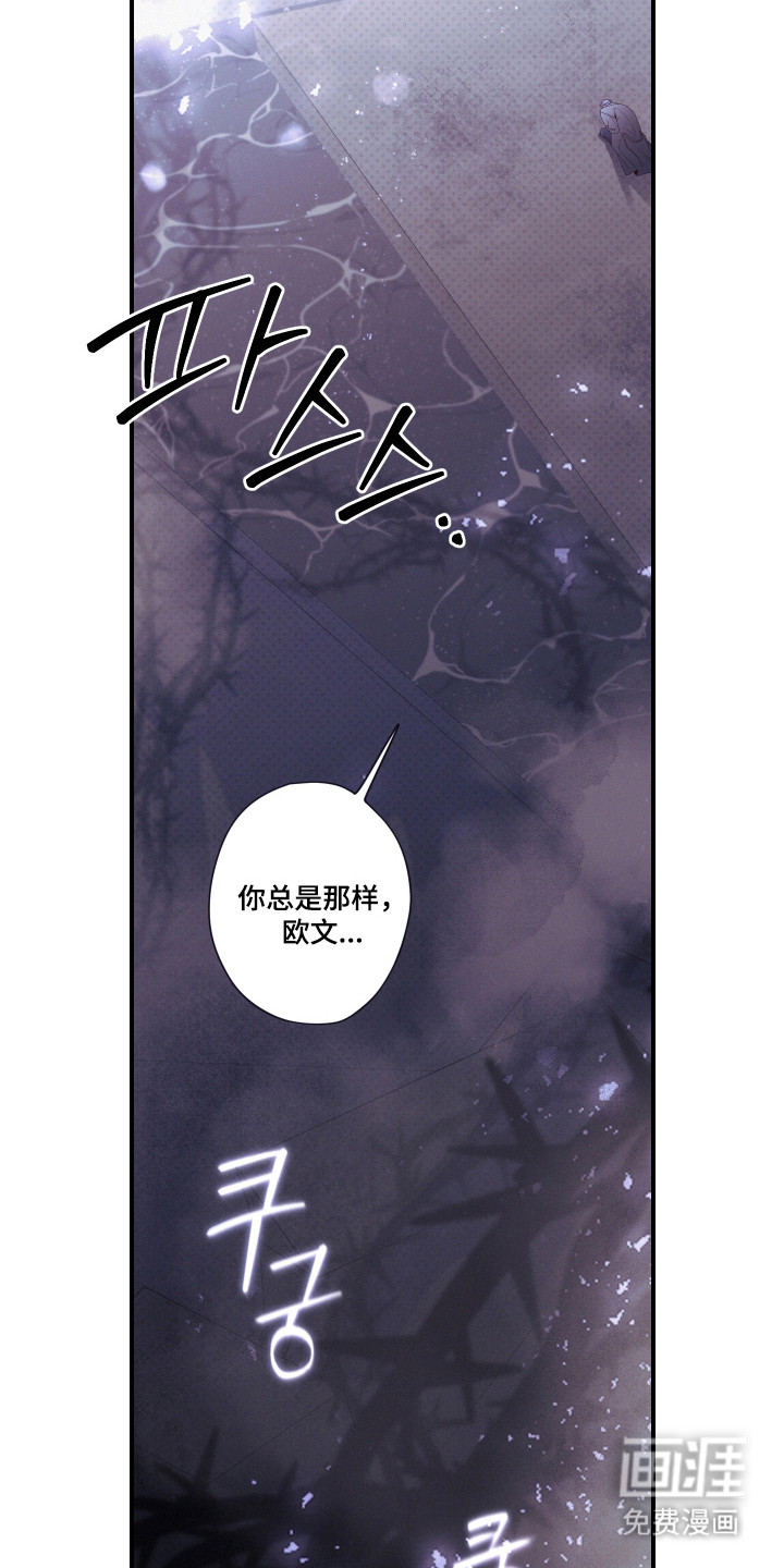 第93话19