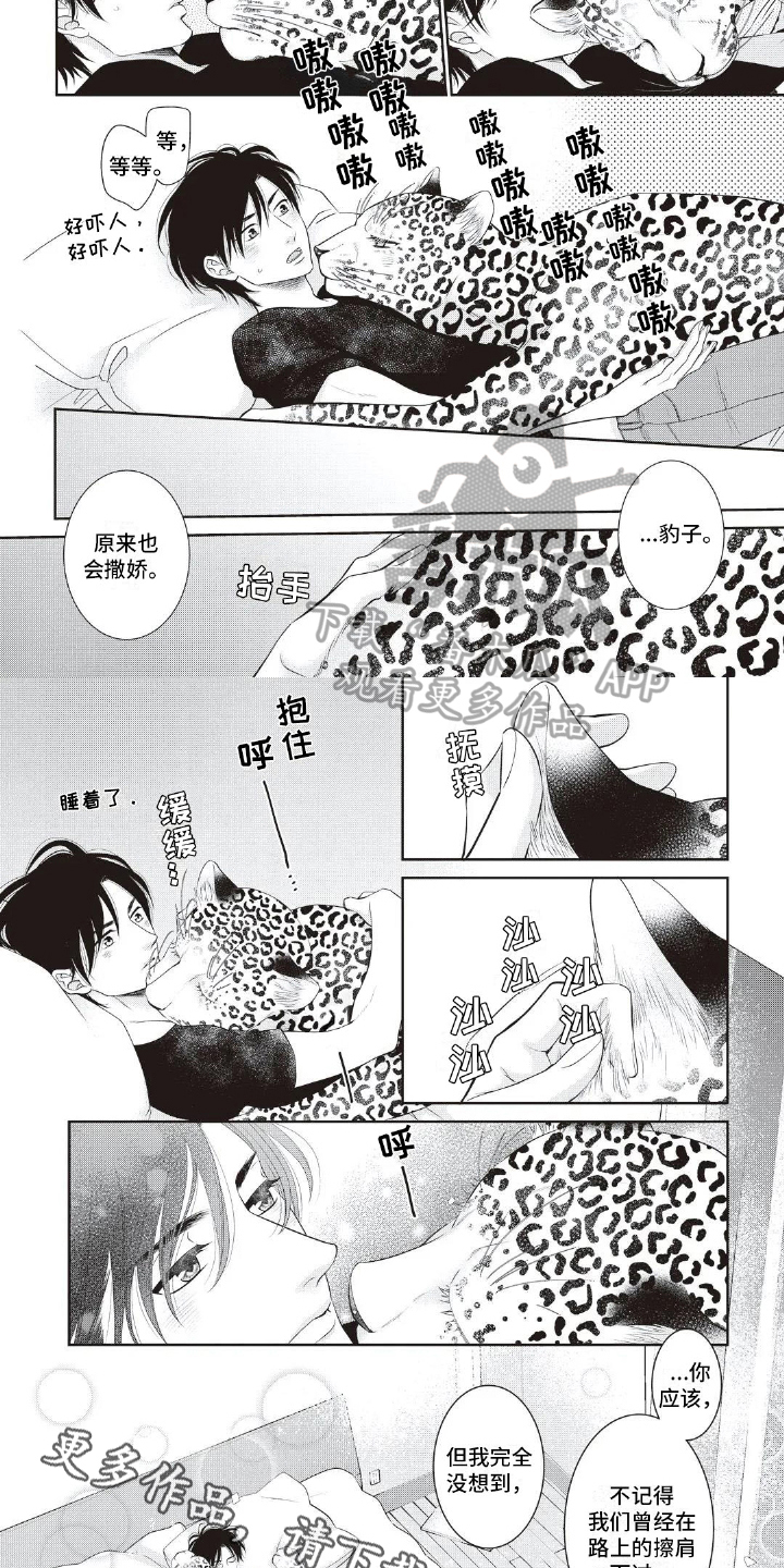 第13话5