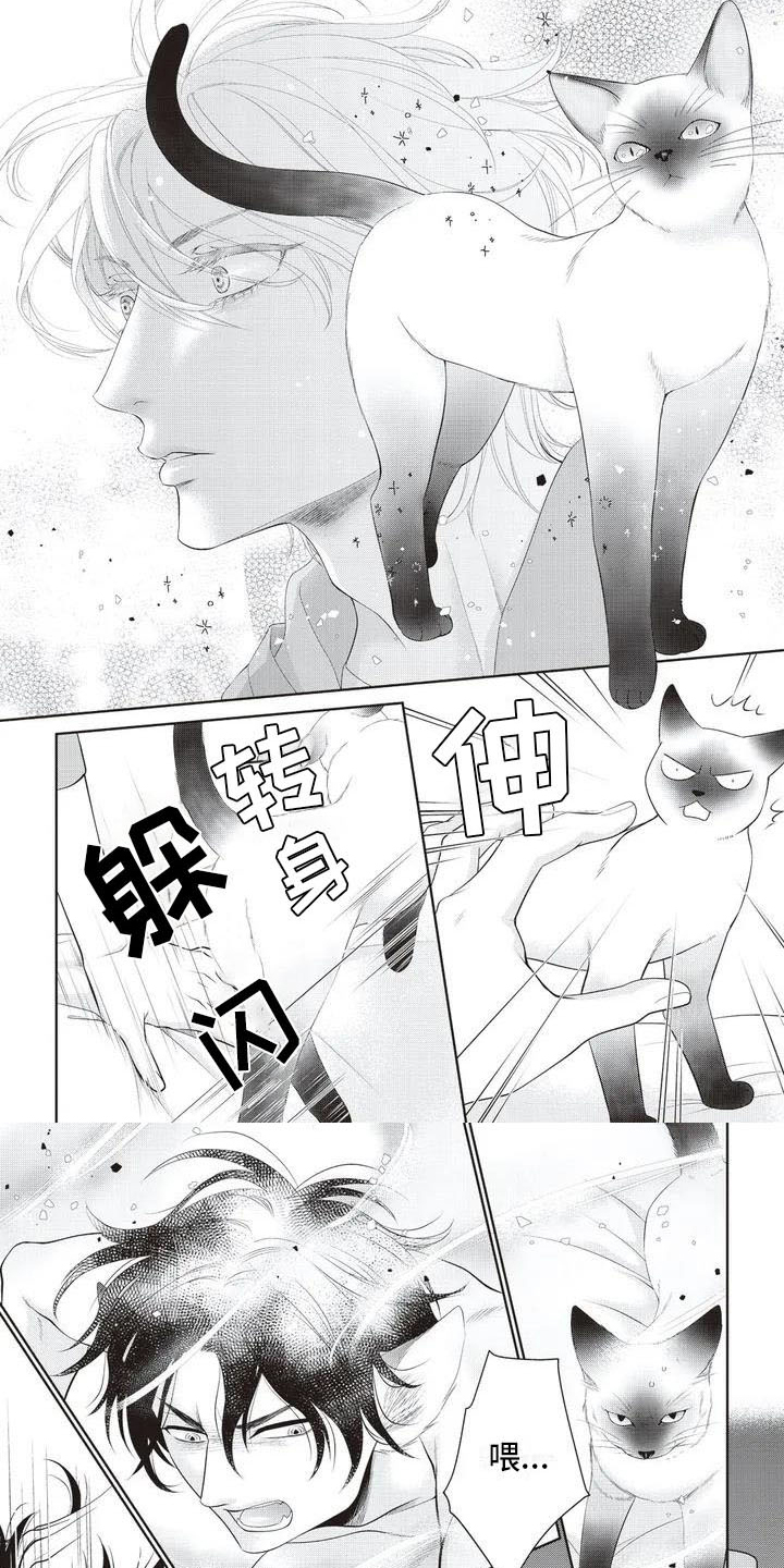 第3话6