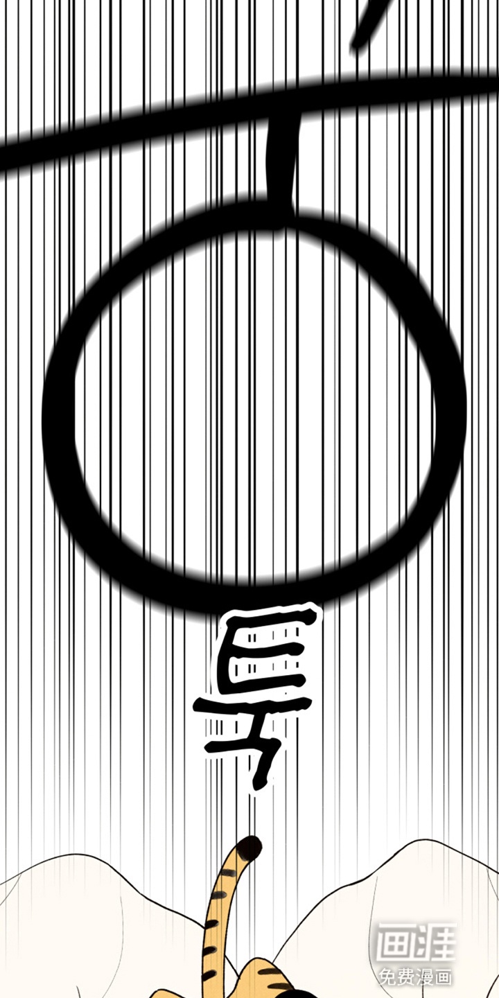第13话9