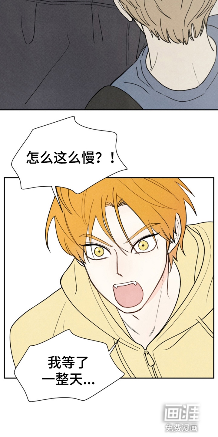 第9话19