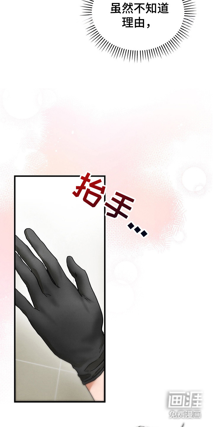 第11话8