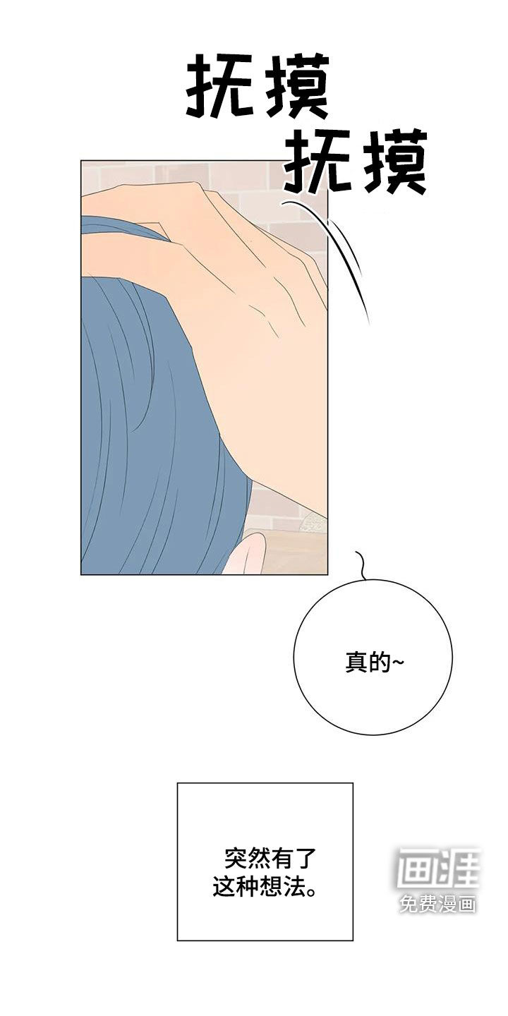 第14话11