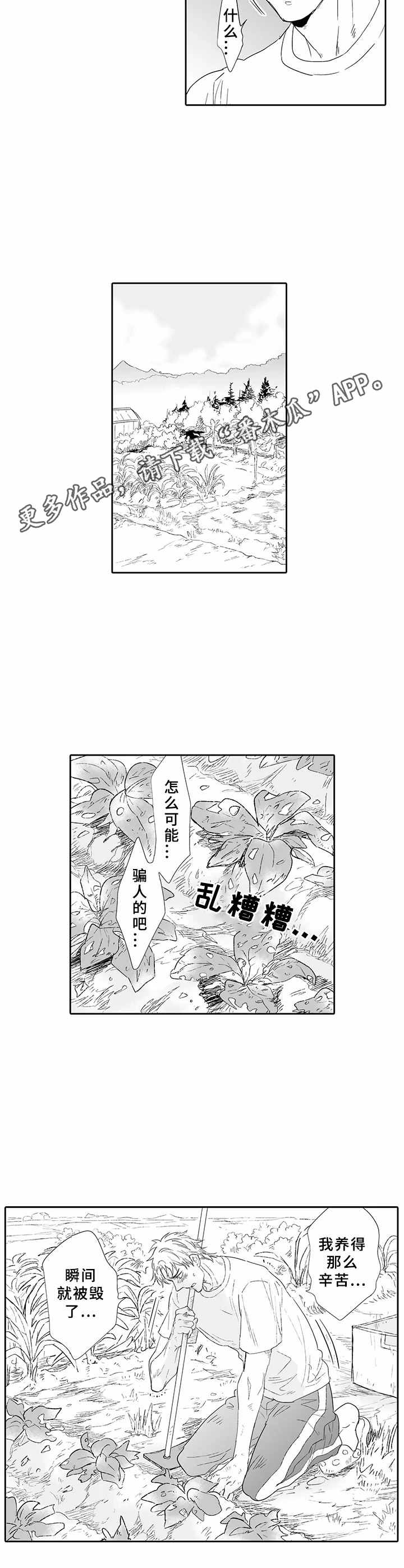第11话3