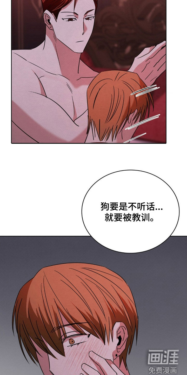 第46话17