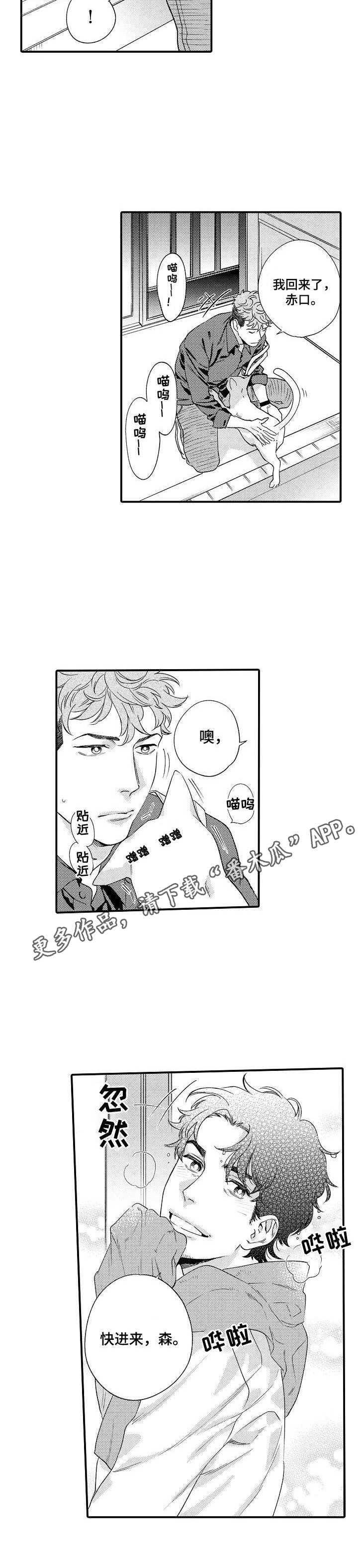 第22话11