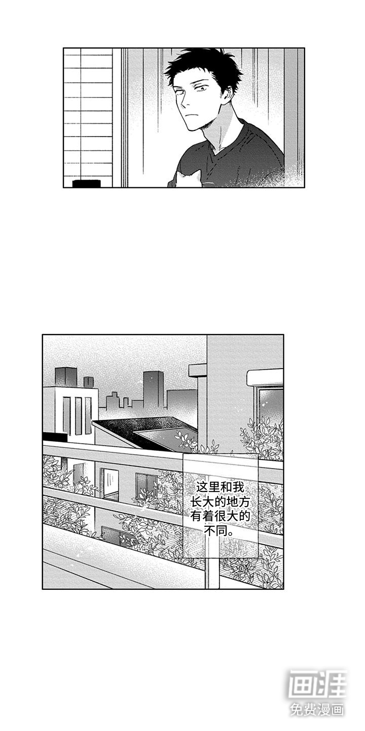 第31话8