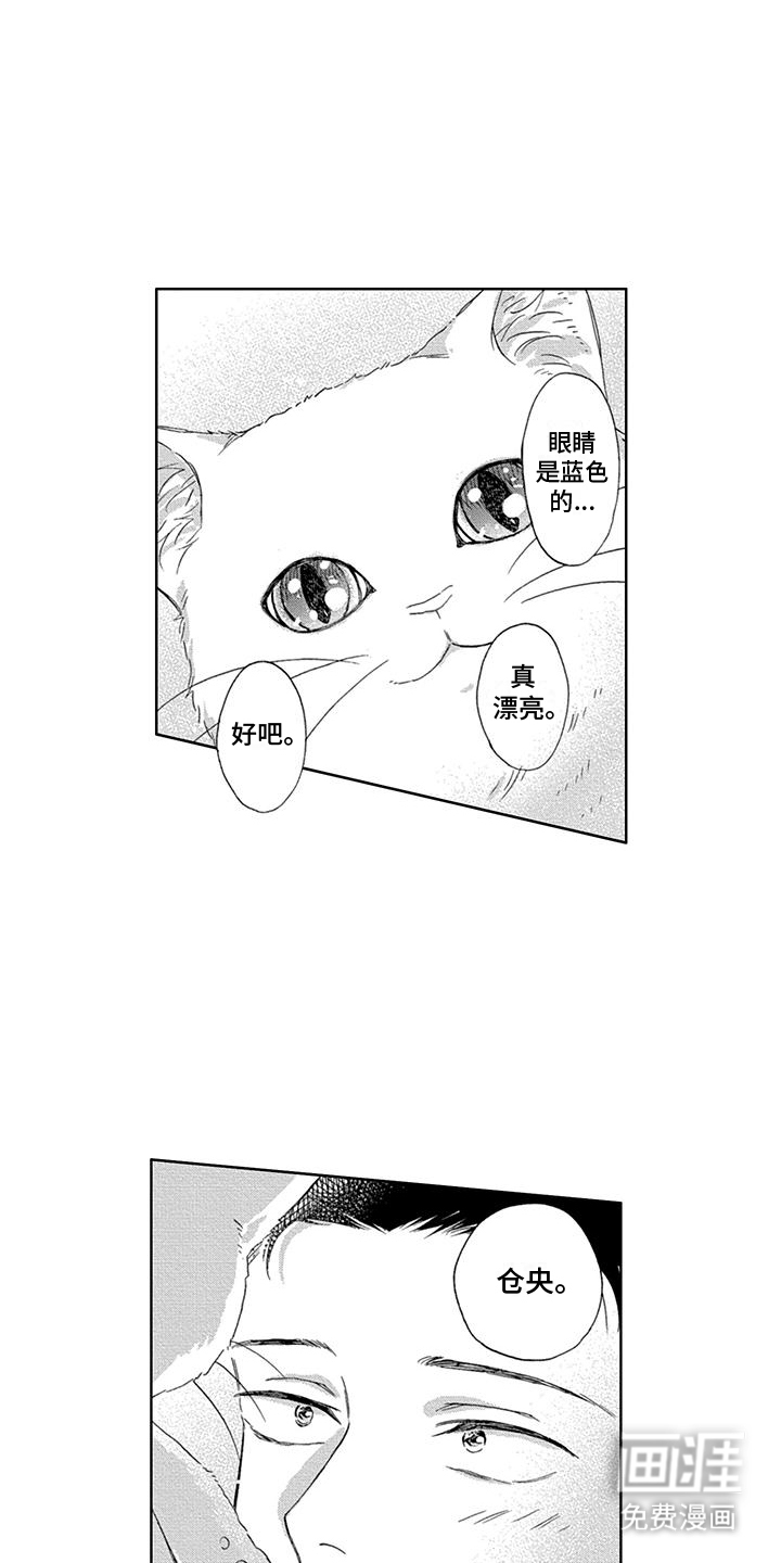 第30话11