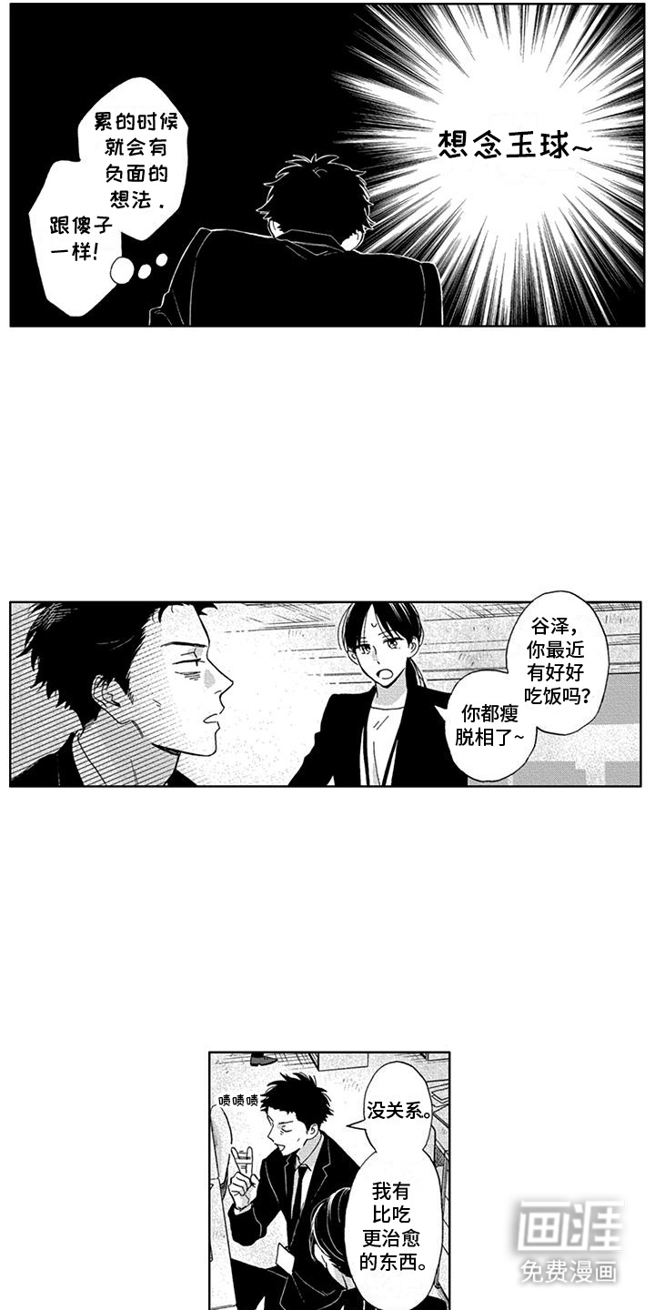 第9话11