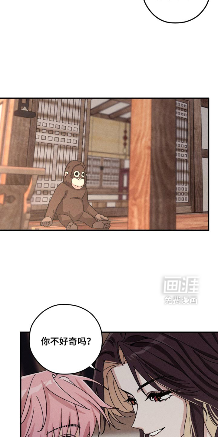 第29话16