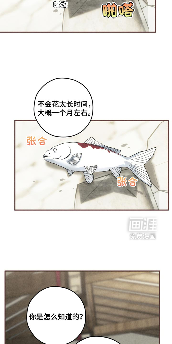 第12话8