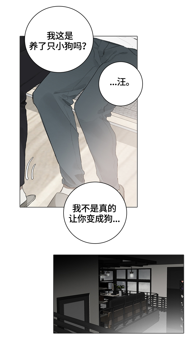第62话12