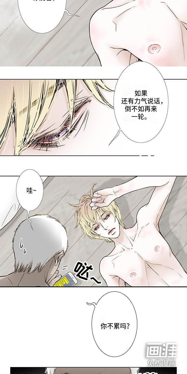 第11话8