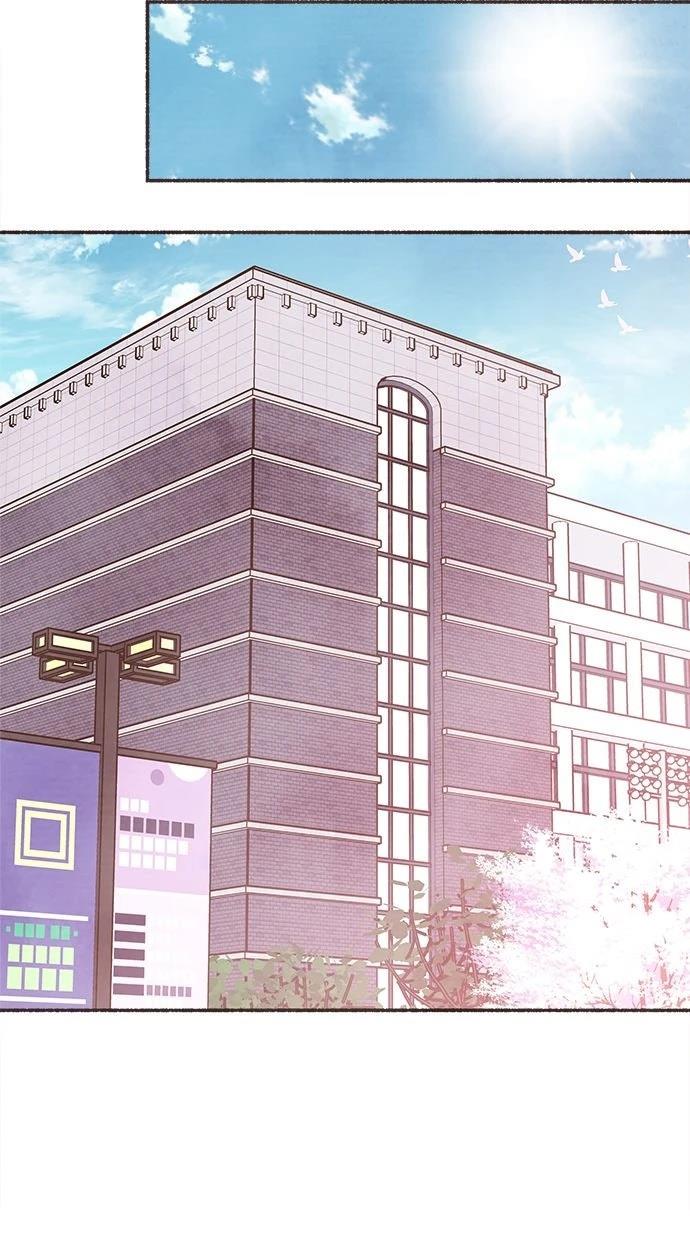 序29