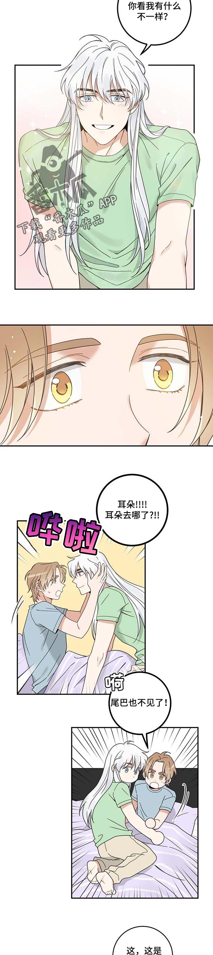 第115话4