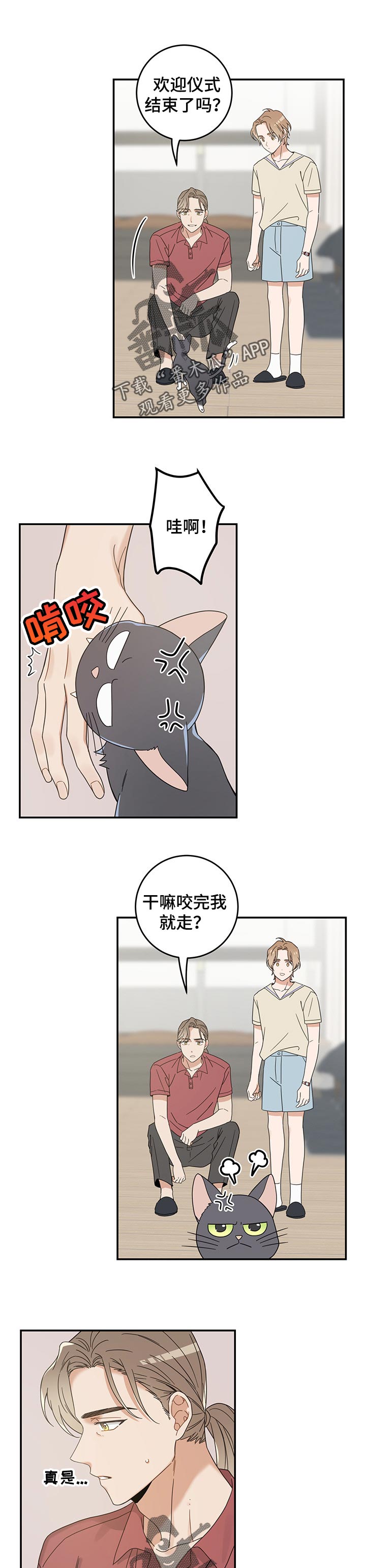 第116话5