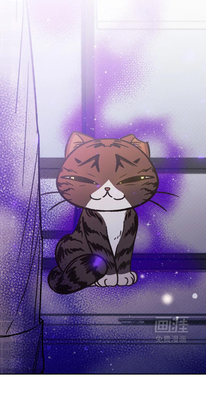第31话17