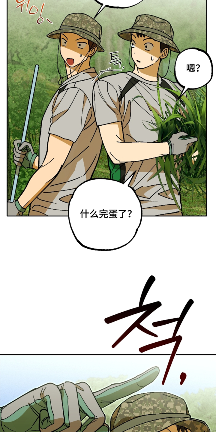 第13话2