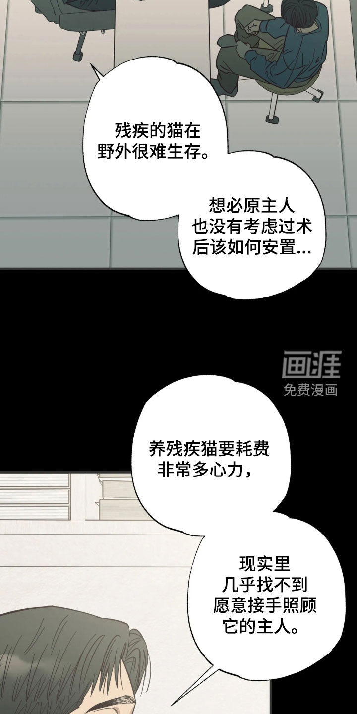 第61话13