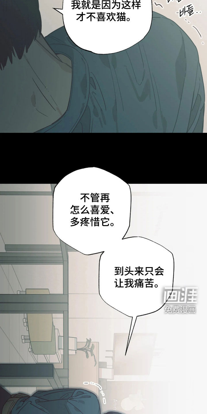 第61话19