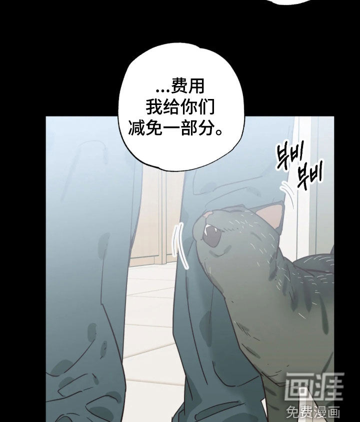 第62话11