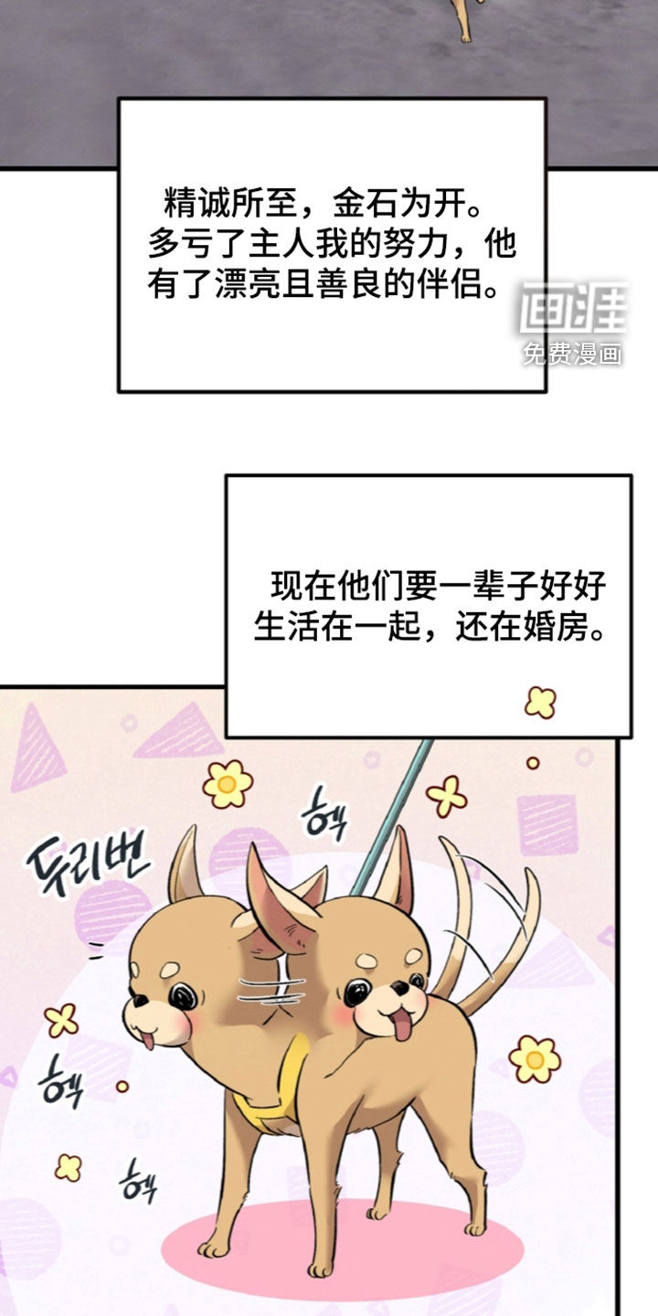 第162话36