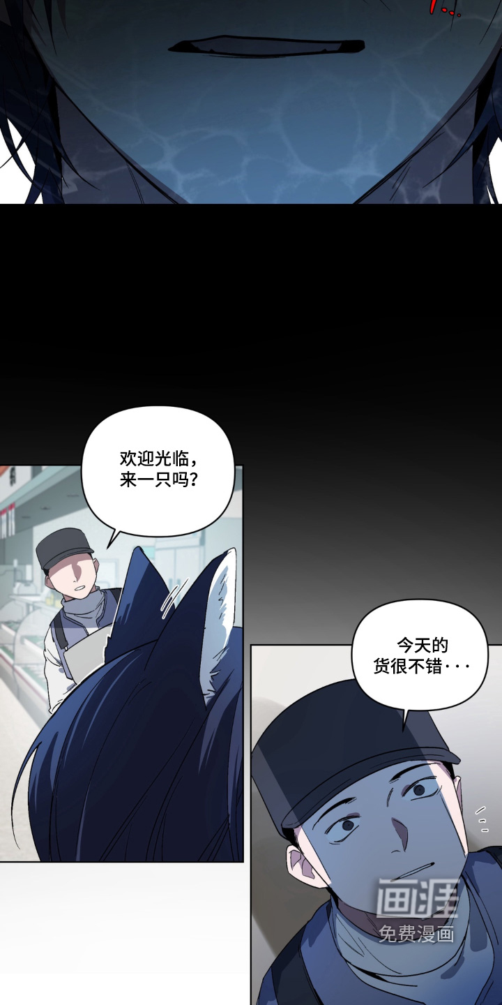 第5话6
