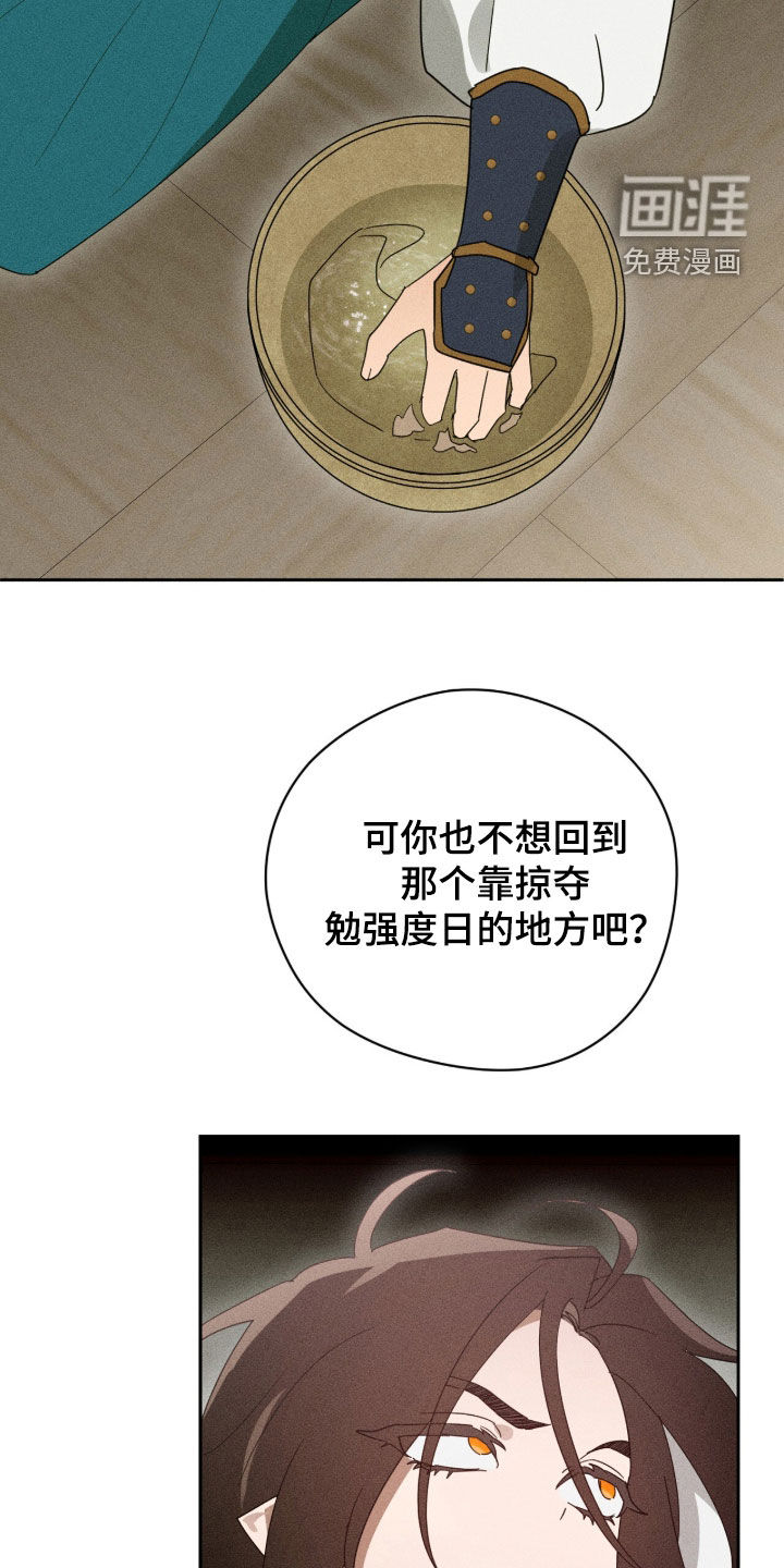 第50话11